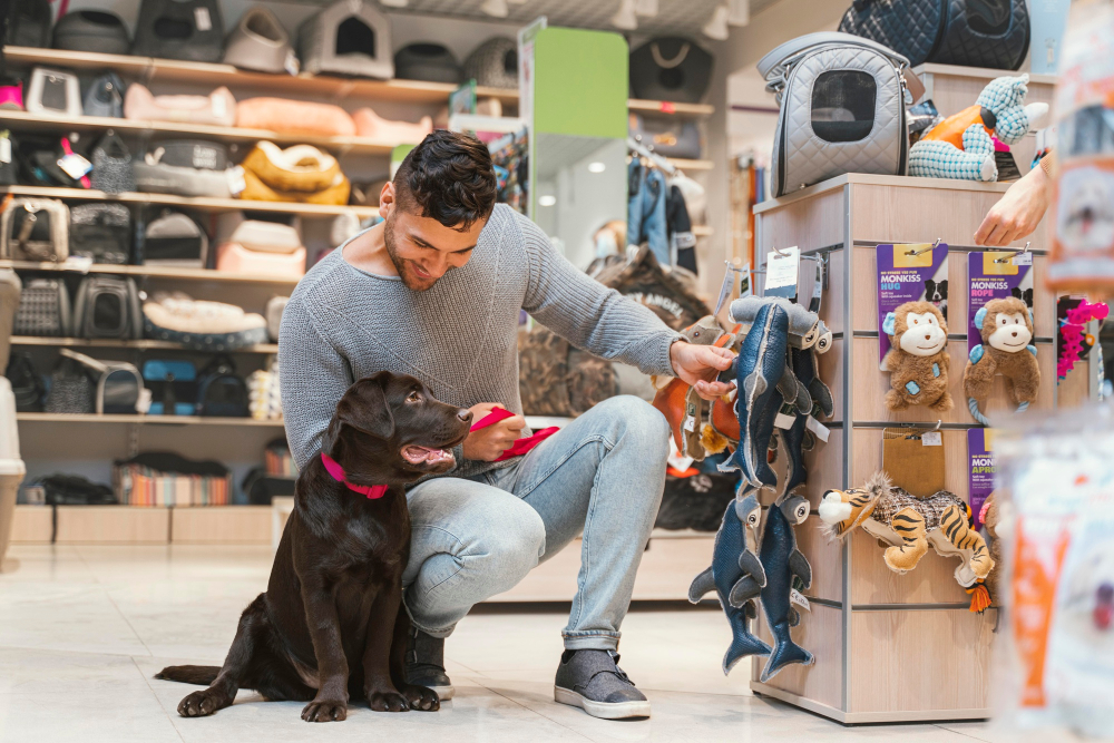 Best Pet Care Product Recommendations: Must-Have Essentials for Your Pet