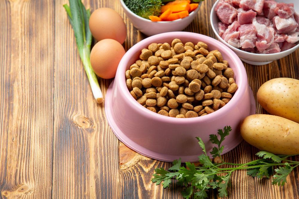 Dry vs Wet Pet Food: Which Is the Best Choice for Your Pet?